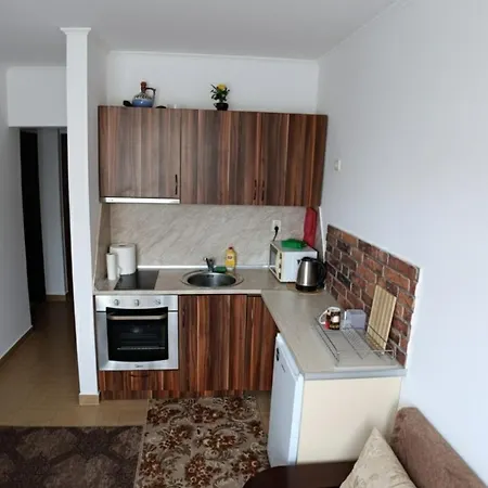 1b Flat Cedar 2min Walk To Gondola * Bansko