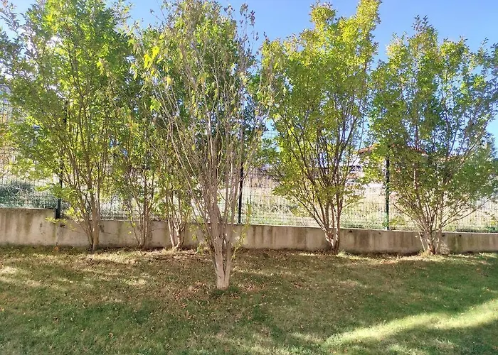 Flat Cedar 2min Walk To Gondola