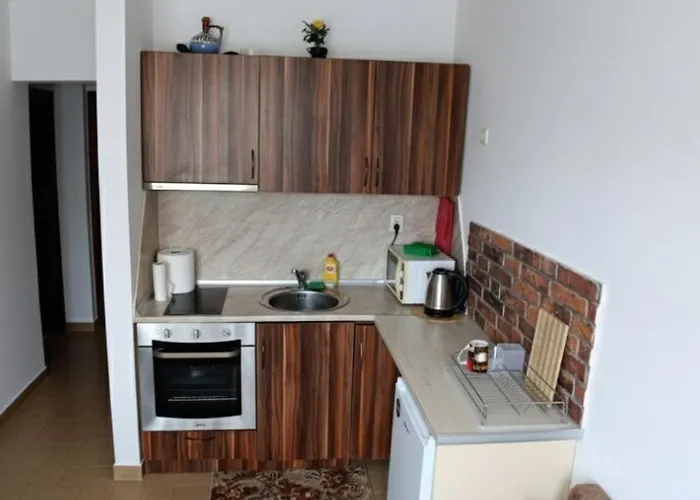 Flat Cedar 2min Walk To Gondola * Bansko